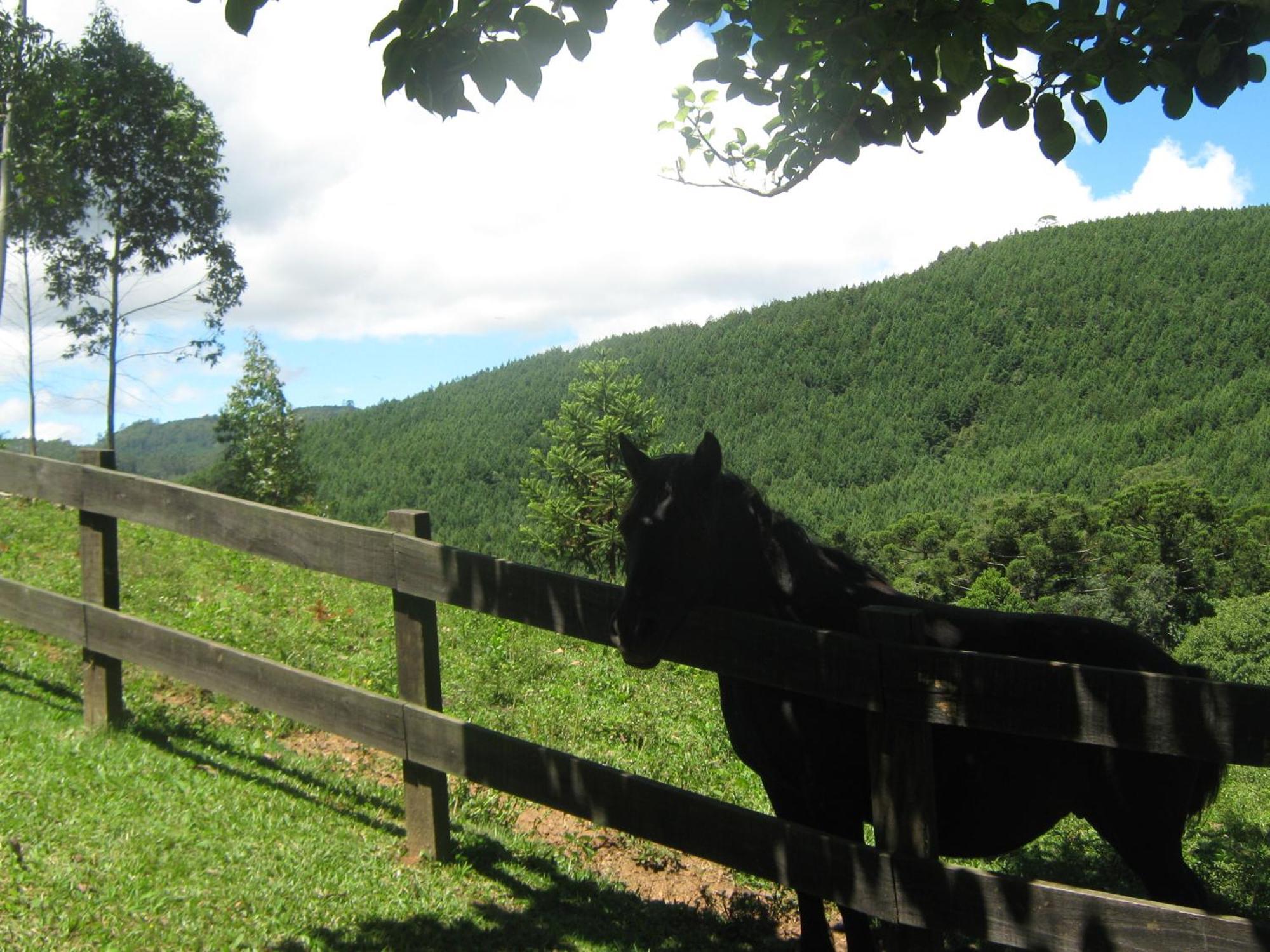 Caminho Do Sol Villa Monte Verde  Eksteriør billede